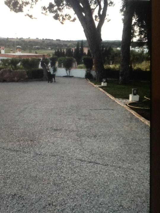 Casa Las Ciguenas Apartman Vejer de la Frontera Kültér fotó
