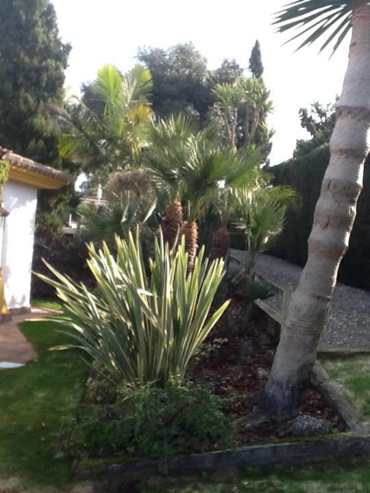 Casa Las Ciguenas Apartman Vejer de la Frontera Kültér fotó