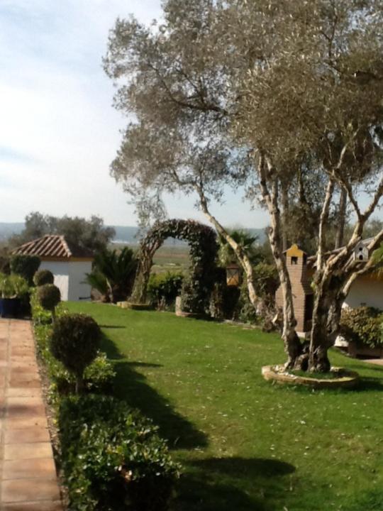 Casa Las Ciguenas Apartman Vejer de la Frontera Kültér fotó