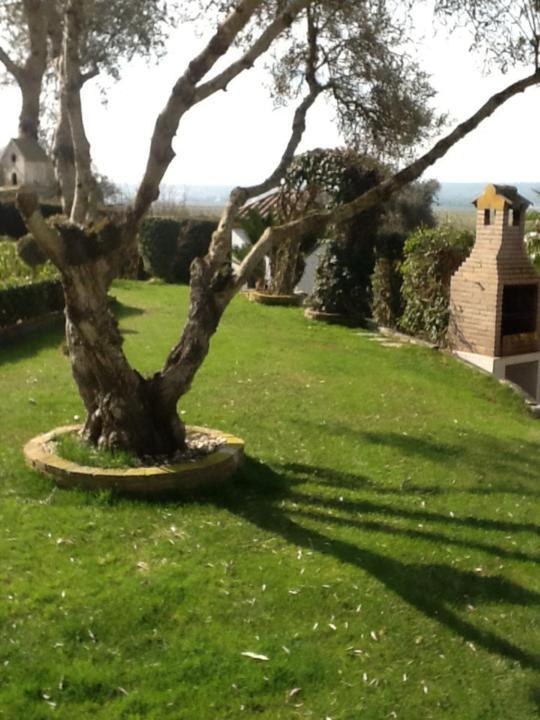 Casa Las Ciguenas Apartman Vejer de la Frontera Kültér fotó
